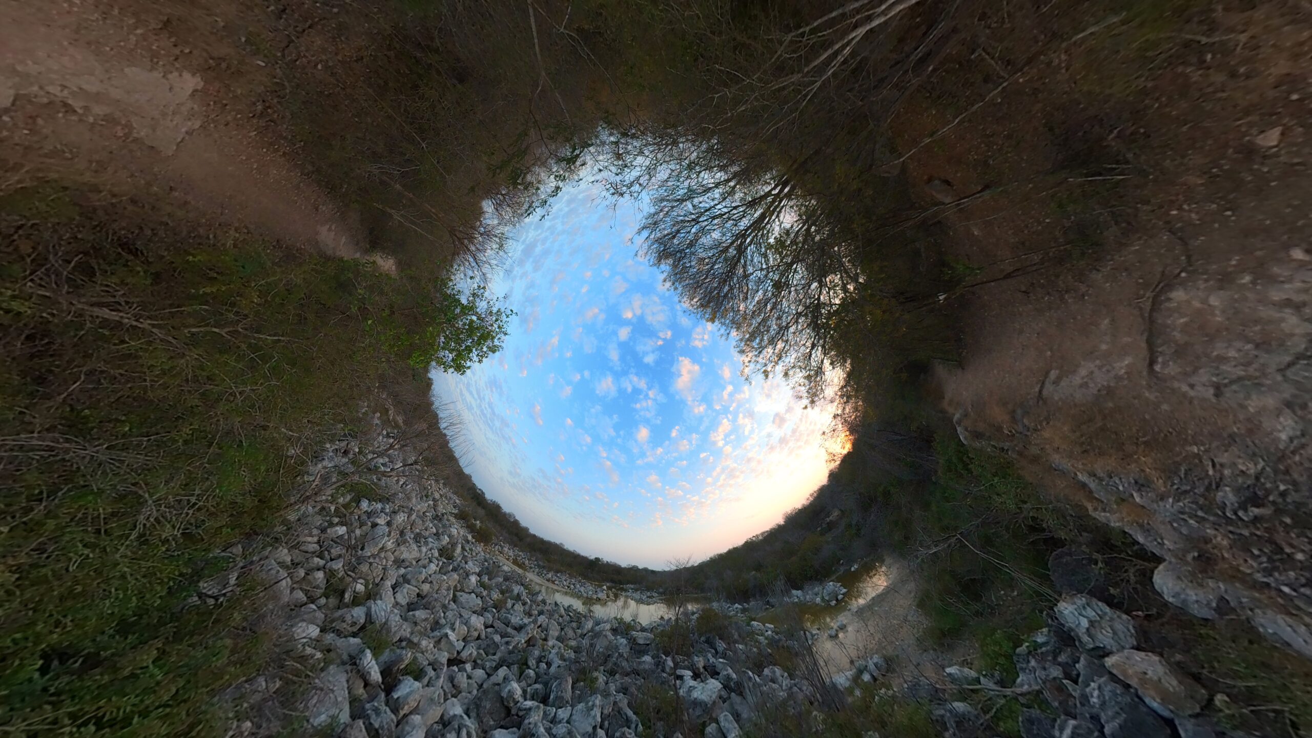 Ejemplo del problema de codec de la Insta360 X4 en escenas con vegetación densa
