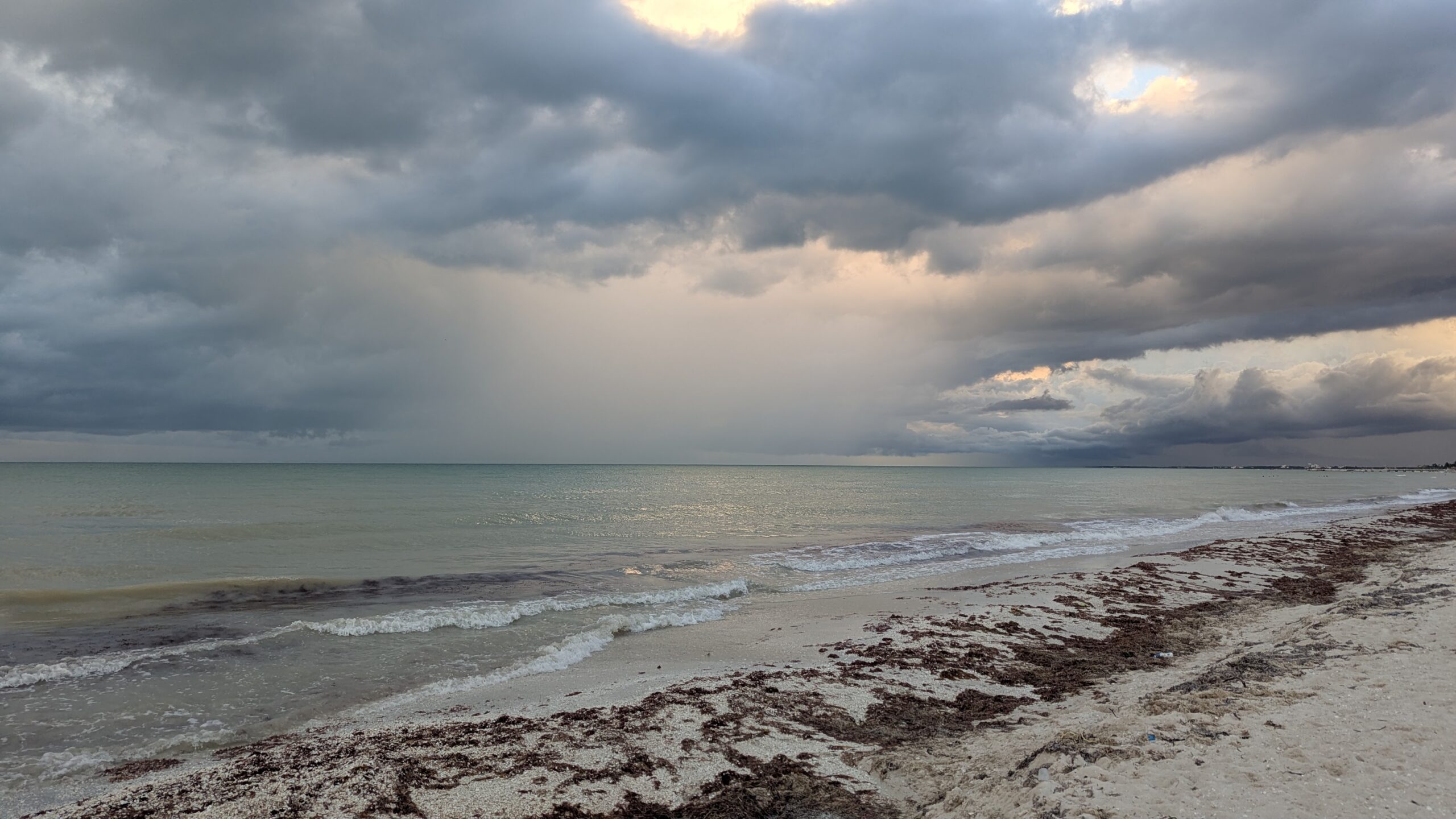 Naturaleza en Cozumel — playas vírgenes y luna llena